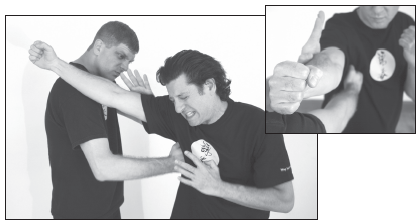 kung fu training
