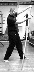 wing chun pole