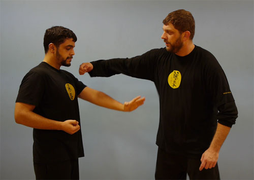 wing chun theory