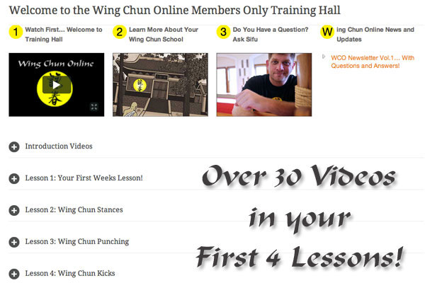 learn kung fu online