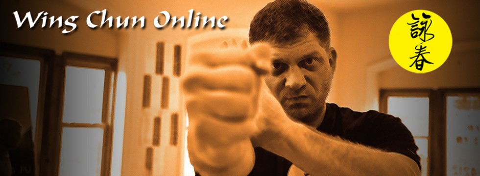 traditional wing chun