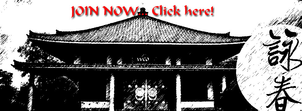 Join Wing Chun Online Now!