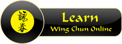 learn wing chun