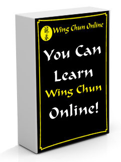Learn Wing Chun